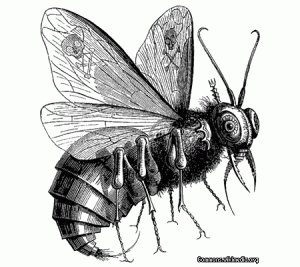 Belcebú: El señor de las moscas.